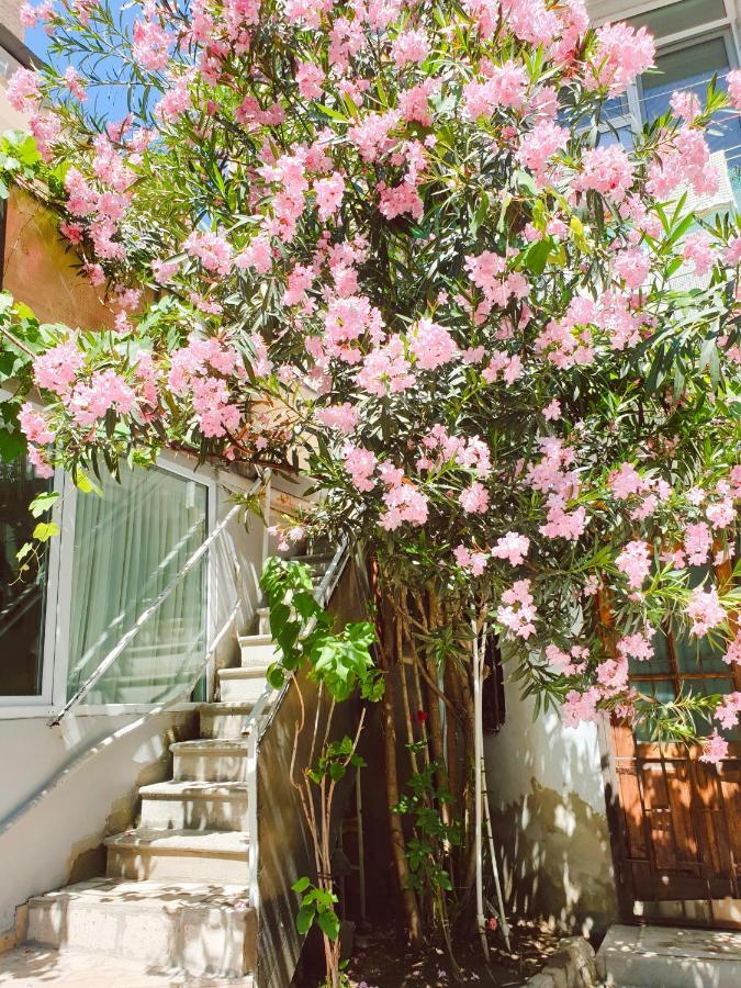 Bon Voyage Hostel Tbilisi ภายนอก รูปภาพ